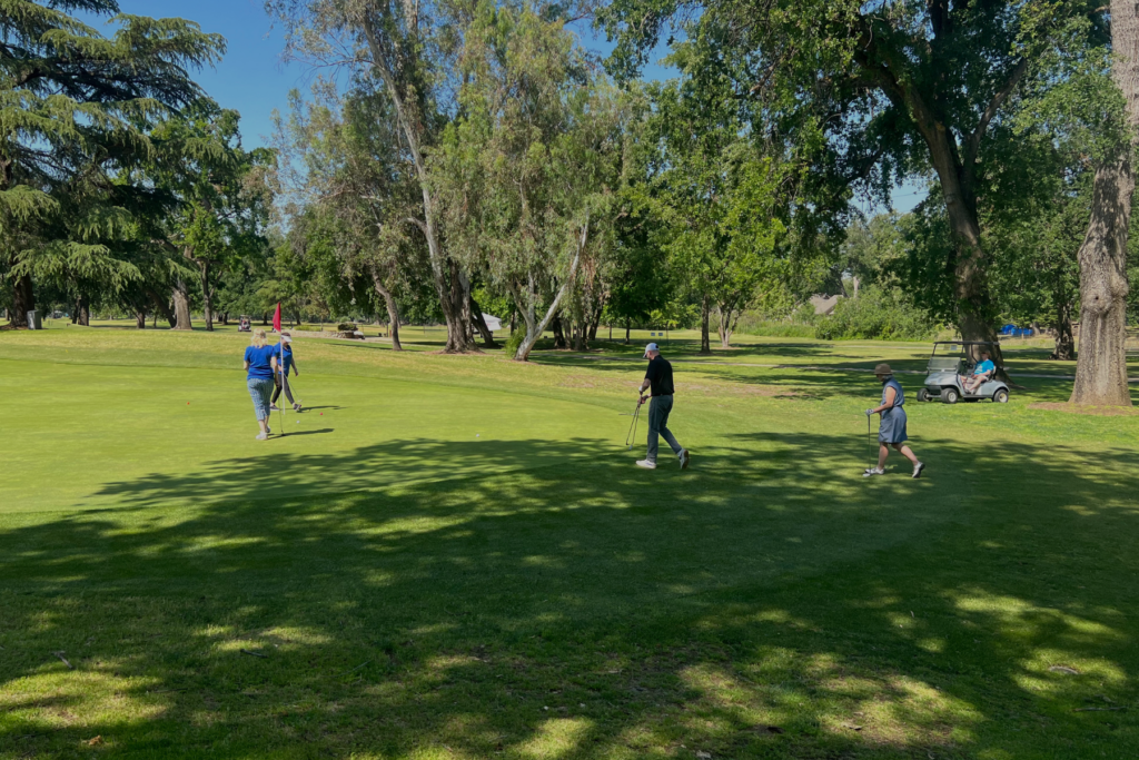 A green golf course with golfers.